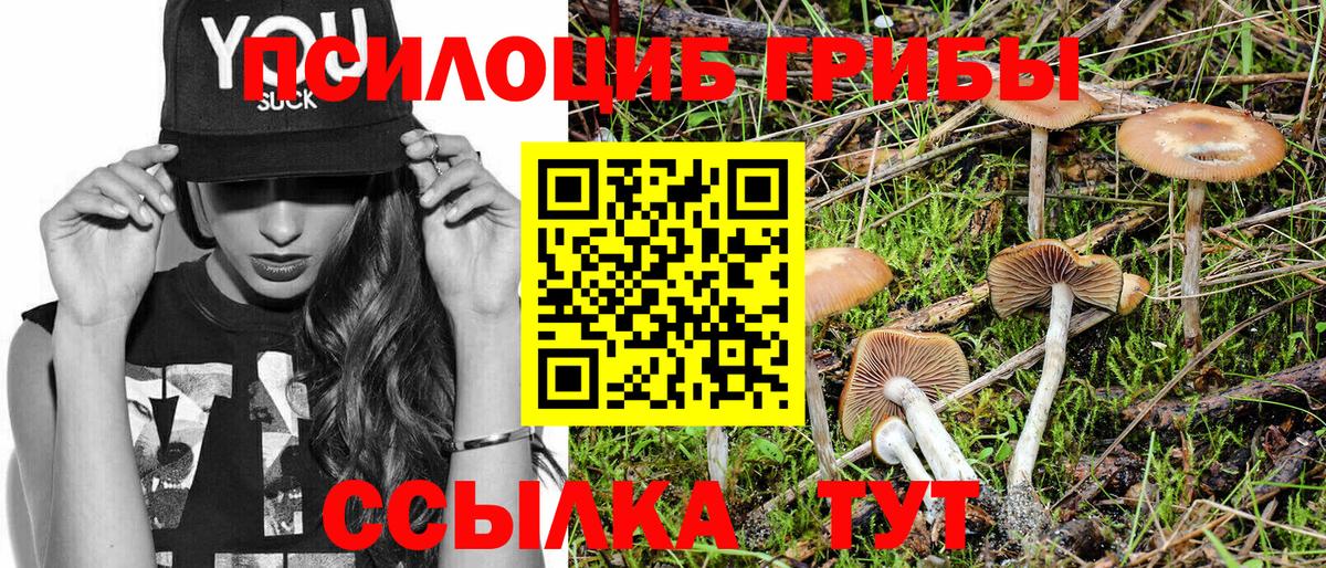 Галлюциногенные грибы прущие грибы  Вход с VPN  Златоуст 